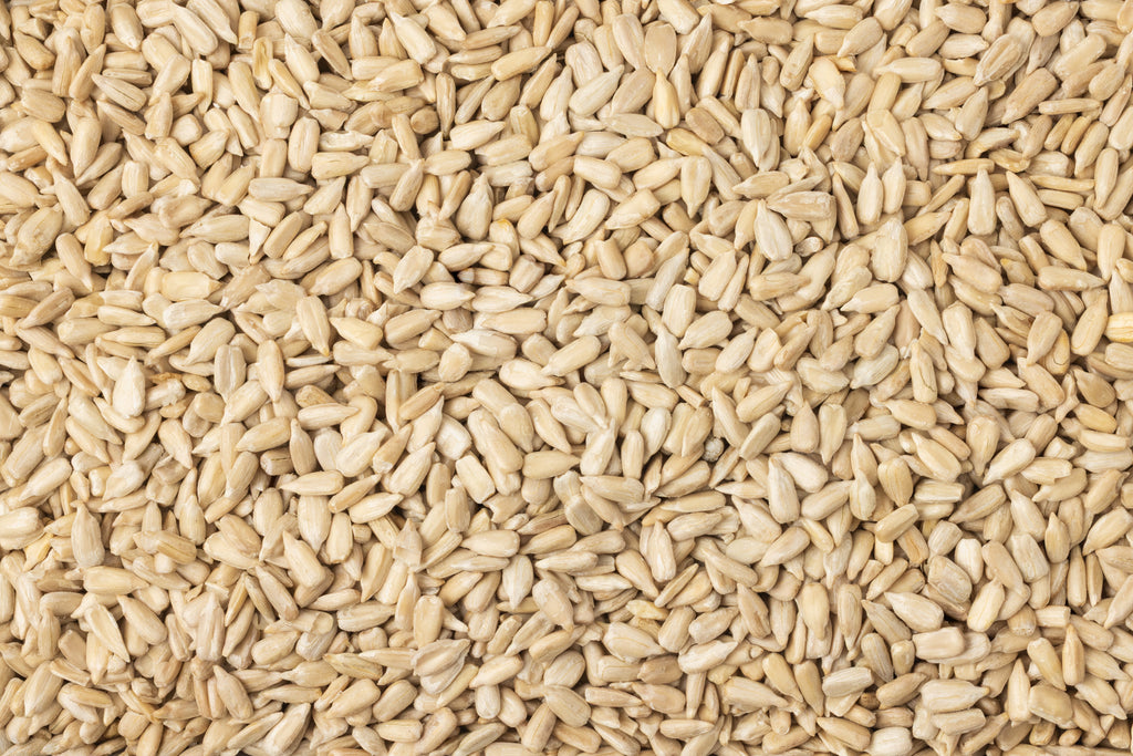 Organic Domestic Sunflower Seeds (Raw, No Shell)